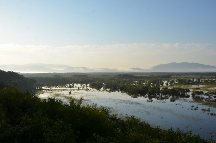 Приморский край ТОНЕТ. Тайфун KHANUN тут ни при чем - DSC_2444.JPG