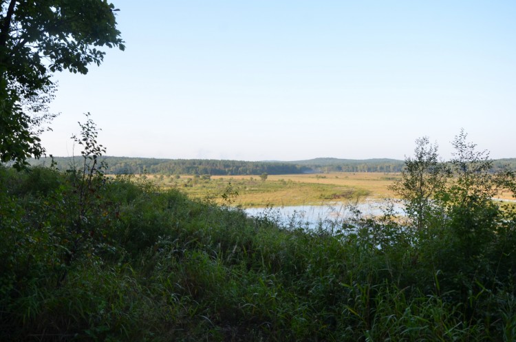 Приморский край ТОНЕТ. Тайфун KHANUN тут ни при чем - DSC_2473.JPG