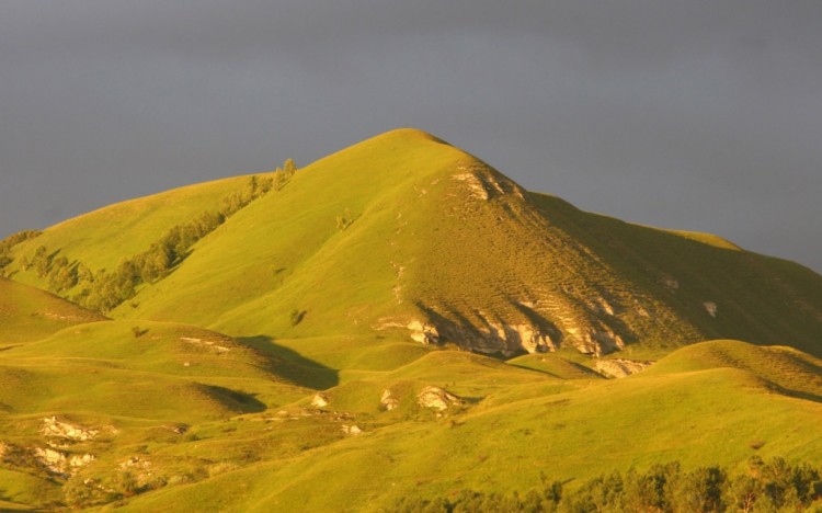 Природа Кавказа глазами биолога Андрэаса № 01 - на Джинальском хребте (60) гора Кабан 1282м.JPG
