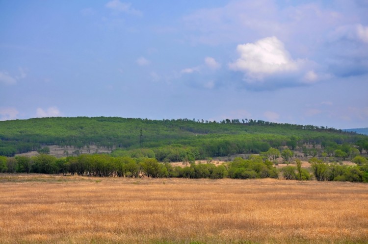 Про пейзажи, про виды, про красоты. № 06 - DSC_0040.JPG