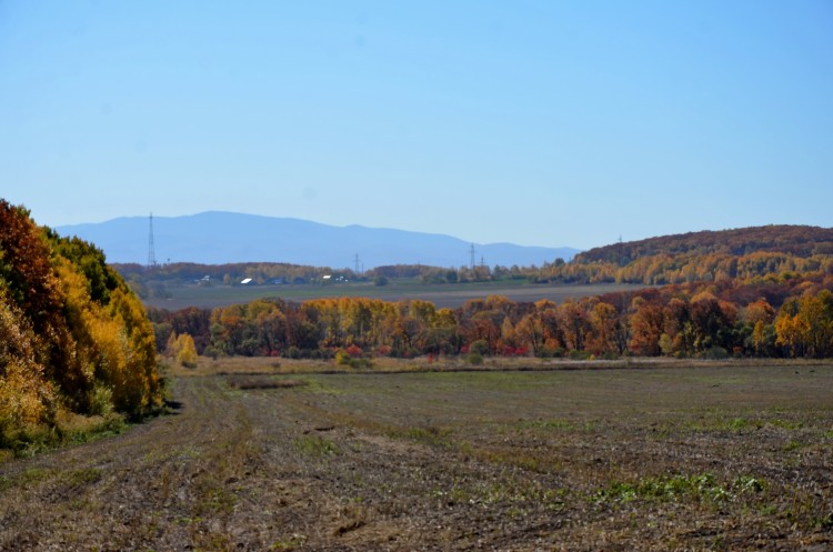 Про пейзажи, про виды, про красоты. № 08 - DSC_4896.JPG