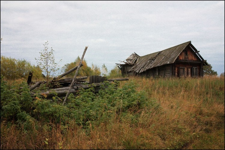 Российские села. За 20 Путинских лет с колен в позу рака - 18 лет с колен 079