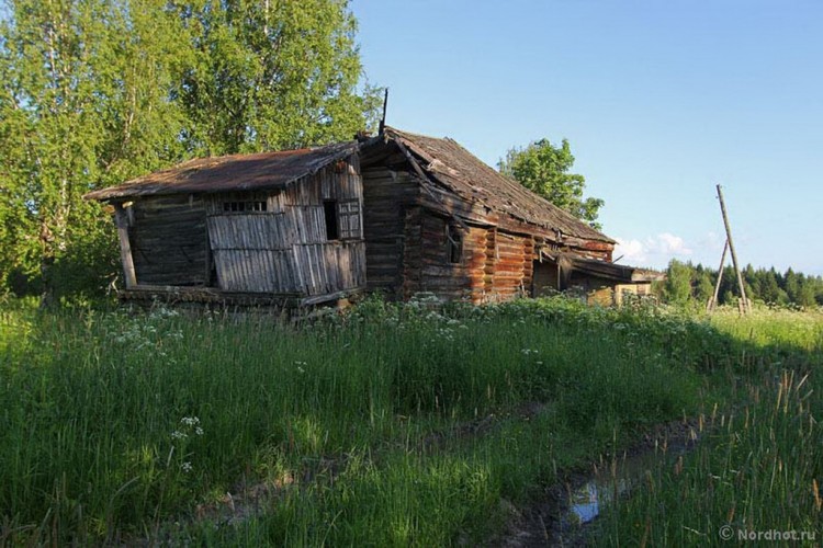 Российские села. За 20 Путинских лет с колен в позу рака - 18 лет с колен 131