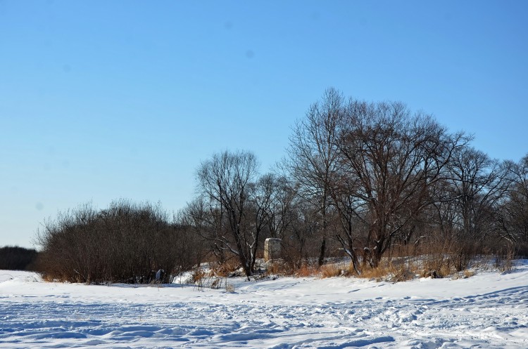 Соберем красивые оригинальные зимние пейзажи - DSC_7711.JPG