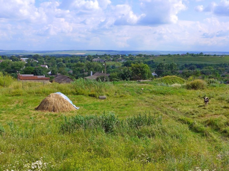 Станица Суворовская на Ставрополье - л93