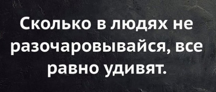 Тупизм НАРОДА достиг эпогея и становится страшно. Вывод 22 - 724cff5363