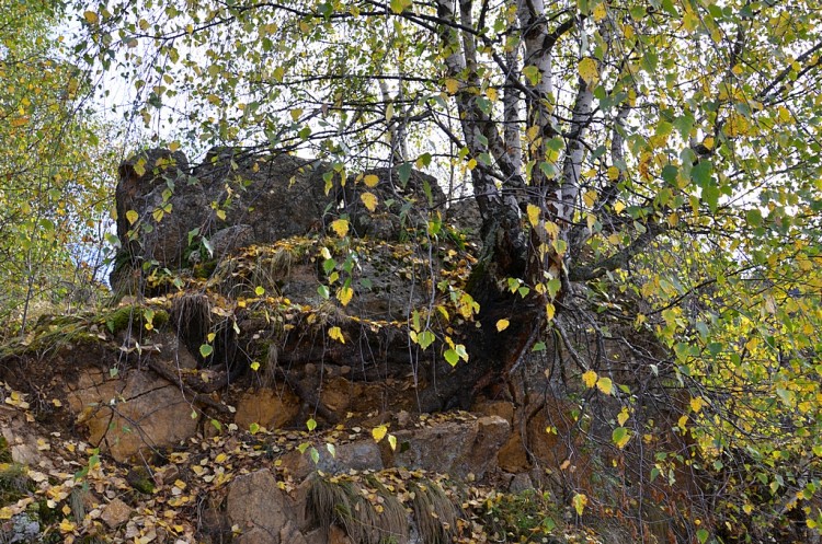 Урочище Джилы-Су в Кабардино-Балкарии - _DSC0352коп.JPG