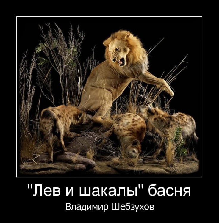 Владимир Шебзухов. Басни в стихах. № 01 - ЛЕВ И ШАКАЛЫ