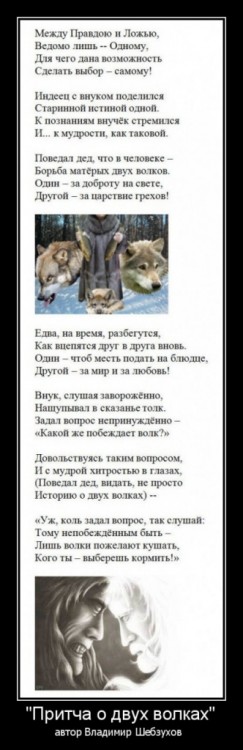 Владимир Шебзухов. Стихи, сказки - ПРИТЧА О ДВУХ ВОЛКАХ