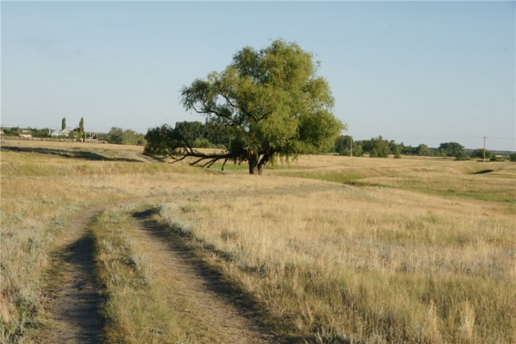 Волгоград - Родина моей души. Так бывает в семьях - 27a4a5d8e378