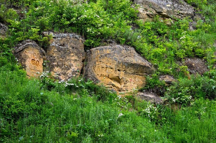 Всякое, разное. Фото не в тему. Про всё, что угодно и можно - 02