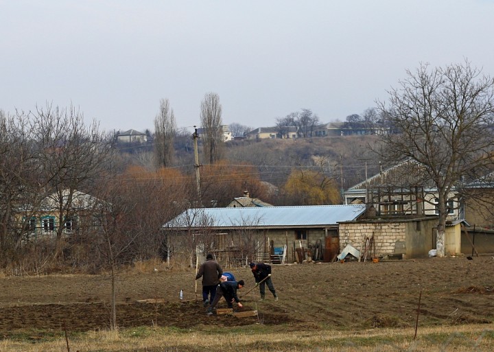 Всякое, разное. Фото не в тему. Про всё, что угодно и можно - 24etjrp