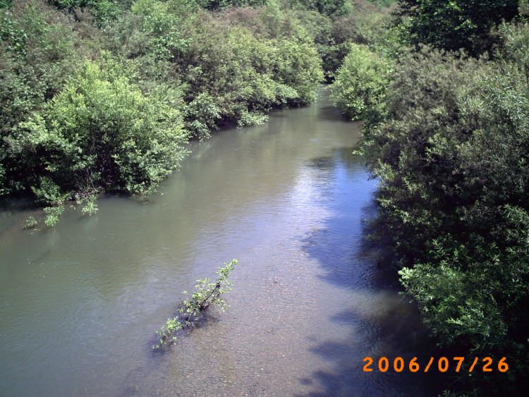 Хвищанка село Кировский район Приморский край - 06.07.26.04