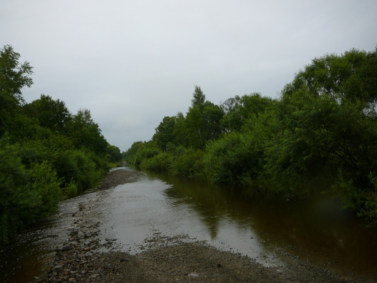 Хвищанка село Кировский район Приморский край - 08.07.19.009