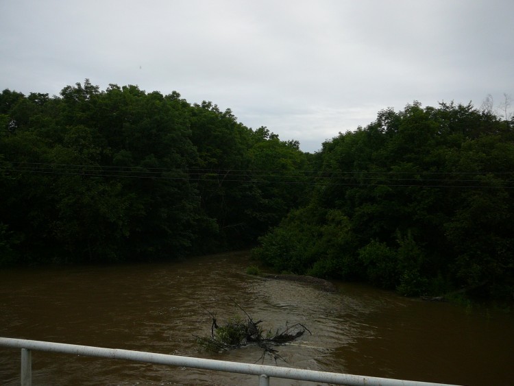 Хвищанка село Кировский район Приморский край - 08.07.19.011