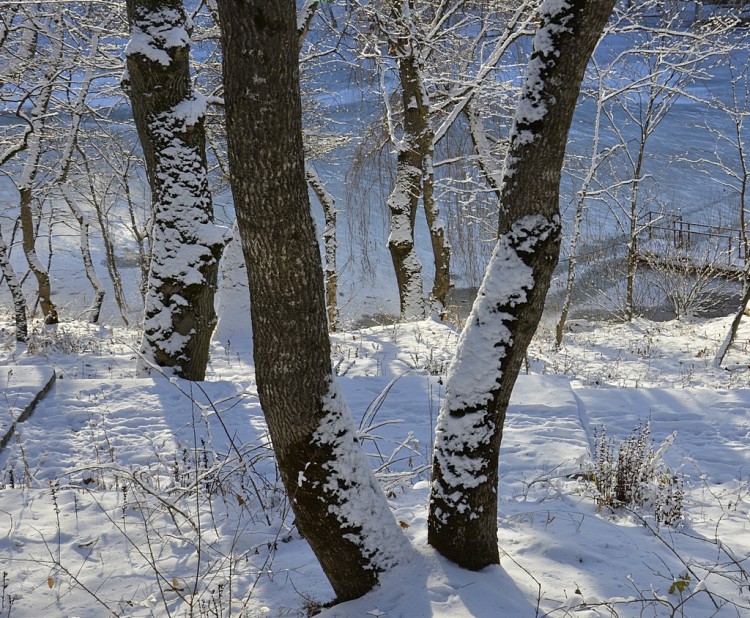 Зима пришла - не отвертишься, не улизнешь № 01 - _DSC1343кор.JPG