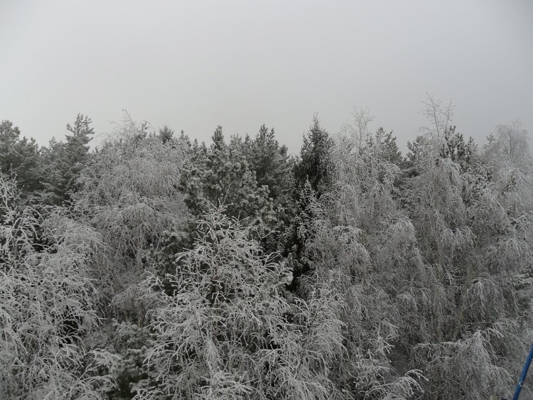 Зима у нас во всей своей красе 2013-14 № 01 - 0_7ad96_4e461b7f_XXL