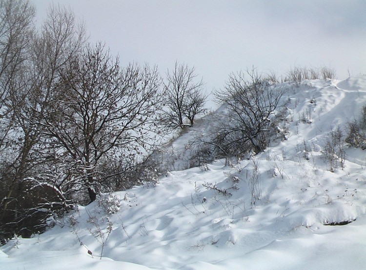 Зима у нас во всей своей красе 2013-14 № 02 - 29410