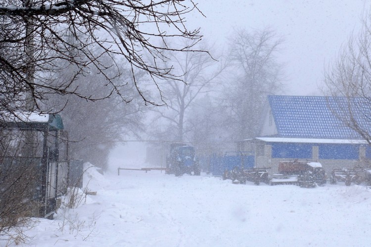 Зима у нас во всей своей красе 2013-14 № 02 - __6